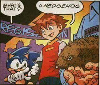 sonic what's that a hedgehog - What'S That A Hedgehog. Regists Sanny