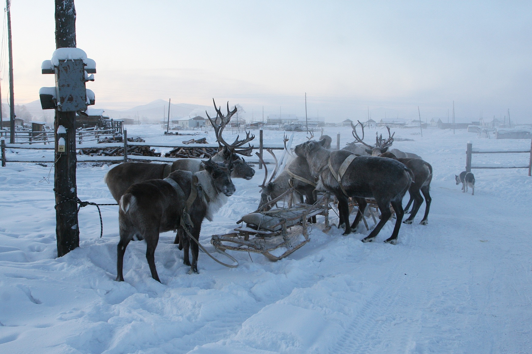 Yakutsk: The So-called Coldest City In The World