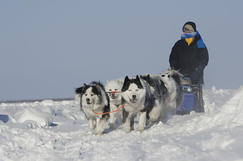 Yakutsk: The So-called Coldest City In The World