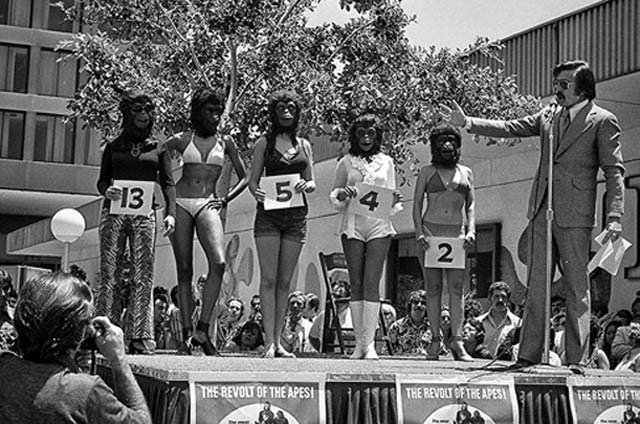 Miss Beautiful Ape, 1972. Dominique Green (number 2) won the prize and a small role in the movie "Battle for the Planet of the Apes." Pretty wild!