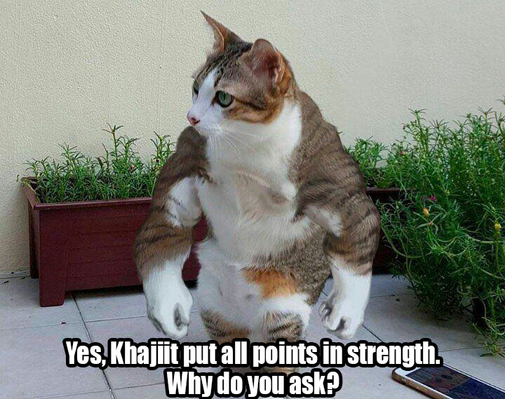 buff cat - Yes, Khajiit put all points in strength. Why do you ask?