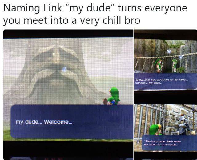 naming link my dude - Naming Link "my dude" turns everyone you meet into a very chill bro I knew..that you would leave the forest... someday, my dude... my dude... Welcome... This is my dude. He is under my orders to save Hyrule.