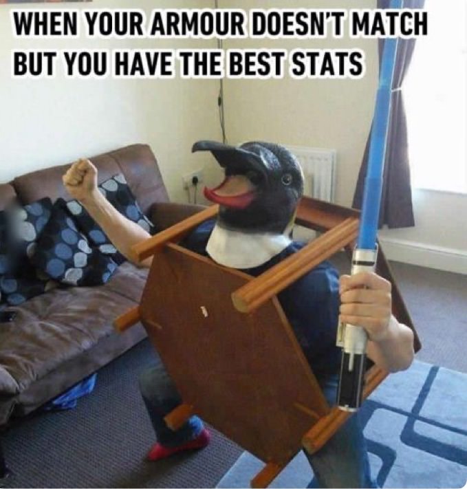 video game funny gamer meme - When Your Armour Doesn'T Match But You Have The Best Stats