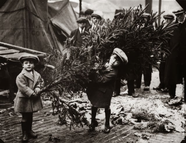 Children hauling a Christmas tree in 1912.