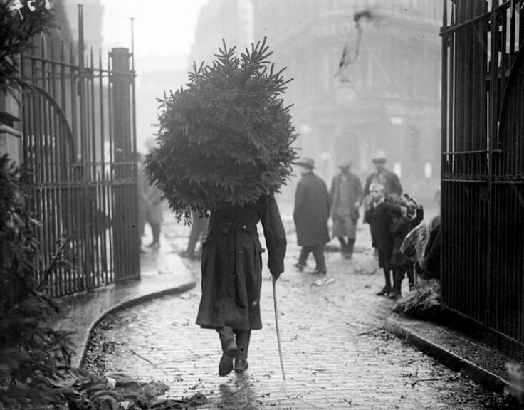 A soldier carrying a Christmas tree in London, England in 1915.