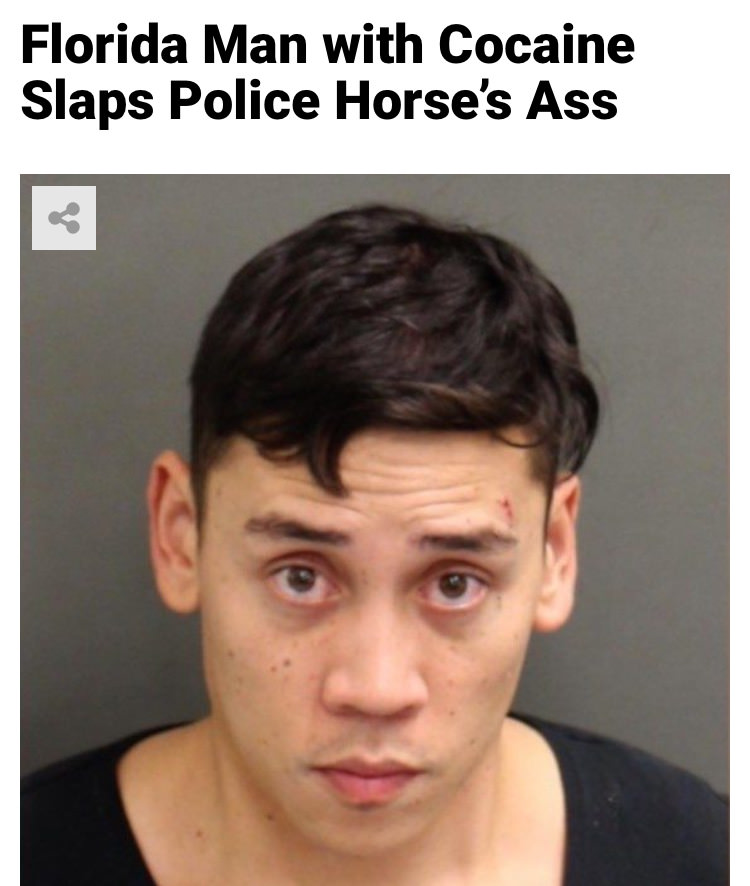 casey waldner - Florida Man with Cocaine Slaps Police Horse's Ass