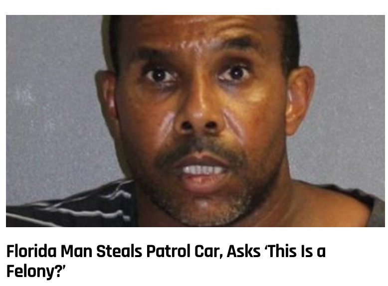 photo caption - Florida Man Steals Patrol Car, Asks 'This is a Felony?'