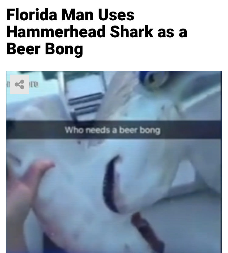 jaw - Florida Man Uses Hammerhead Shark as a Beer Bong Who needs a beer bong,