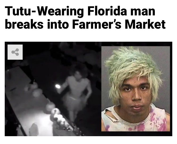 florida men meme - TutuWearing Florida man breaks into Farmer's Market