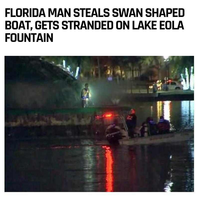 reflection - Florida Man Steals Swan Shaped Boat, Gets Stranded On Lake Eola Fountain