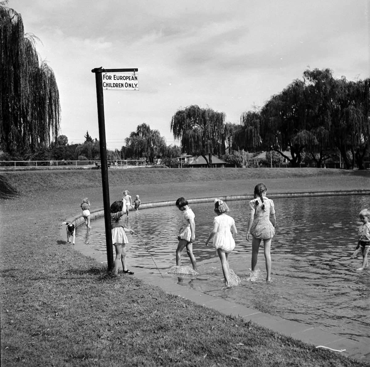 Children play in a pond in a park in South Africa in 1956. The Apartheid created heavy racial segregation, keeping the white minority in supreme control.