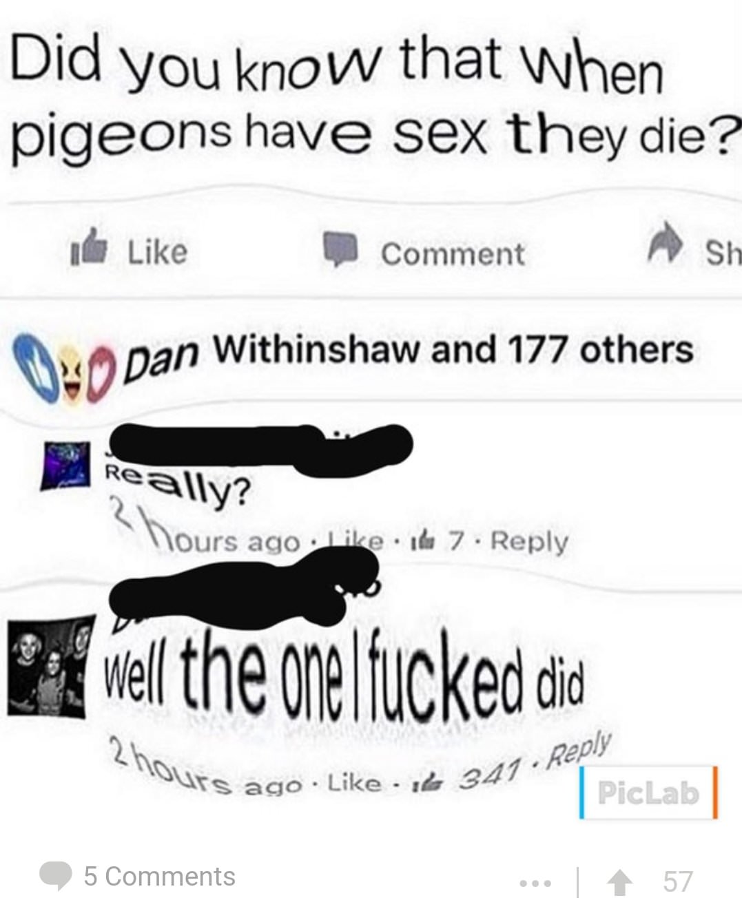 cringe design - Did you know that when pigeons have sex they die? Comment sh Dan Withinshaw and 177 others Really? hours ago. Id 7. fel the opel fucked did ours ago l 341 341 PicLab | 5 Cool 57