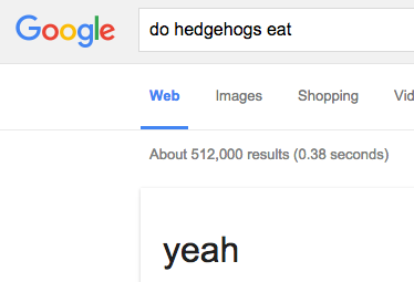 google - Google do hedgehogs eat Web Images Shopping Vid About 512,000 results 0.38 seconds yeah