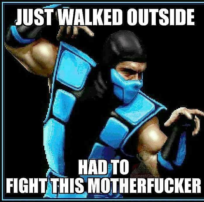 classic sub zero mortal kombat - Just Walked Outside Had To Fight This Motherfucker gamesNGS