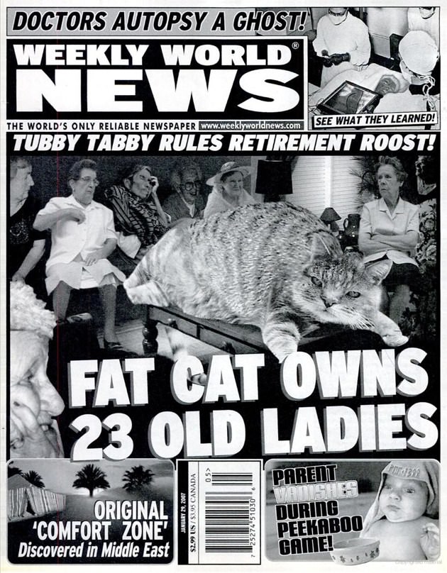 weekly world news funny - Doctors Autopsy A Ghost! Weekly World Newsl Tubby Tabby Rules Retirement Roost! The World'S Only Reliable Newspaper Dee See What They Learned! Fat Cat Owns 23 Old Ladies