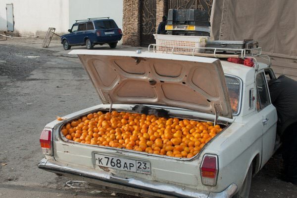 cursed images of oranges - K 768 Ap 23.