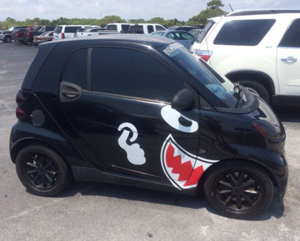 funny smart car paint job