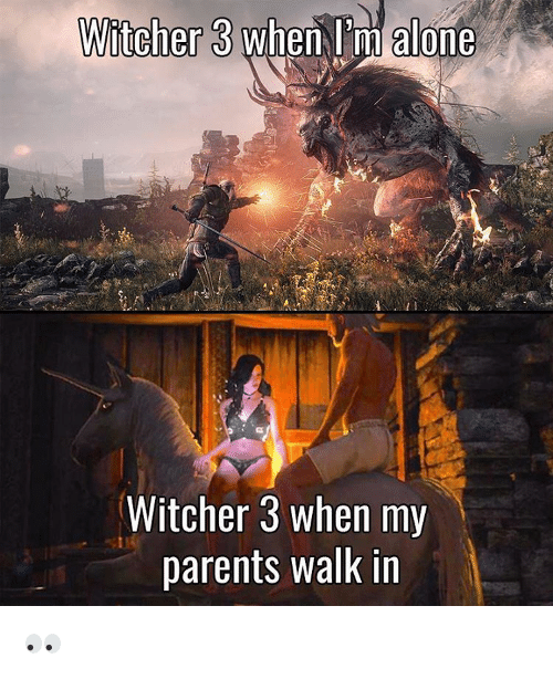 witcher 3 memes - Witcher 3 when I'm alone Witcher 3 when my parents walk in