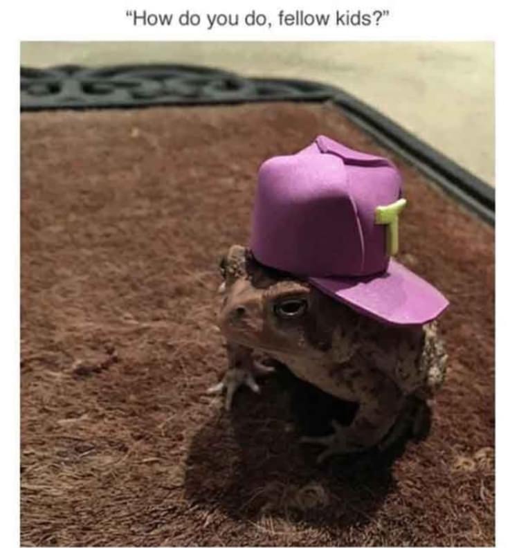 This Dude Found A Toad And Put A Hat On That Toad