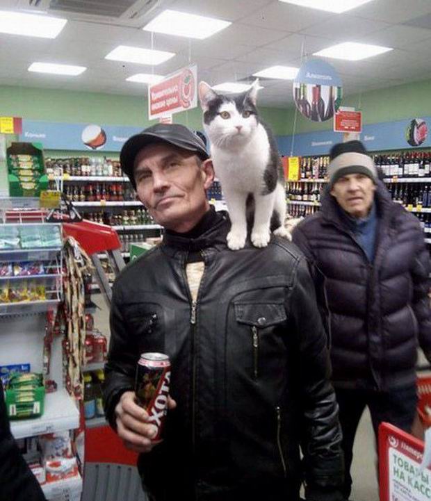 russia pet