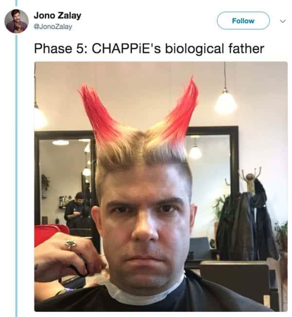 punk drivers license - Jono Zalay Zalay Phase 5 Chappie's biological father