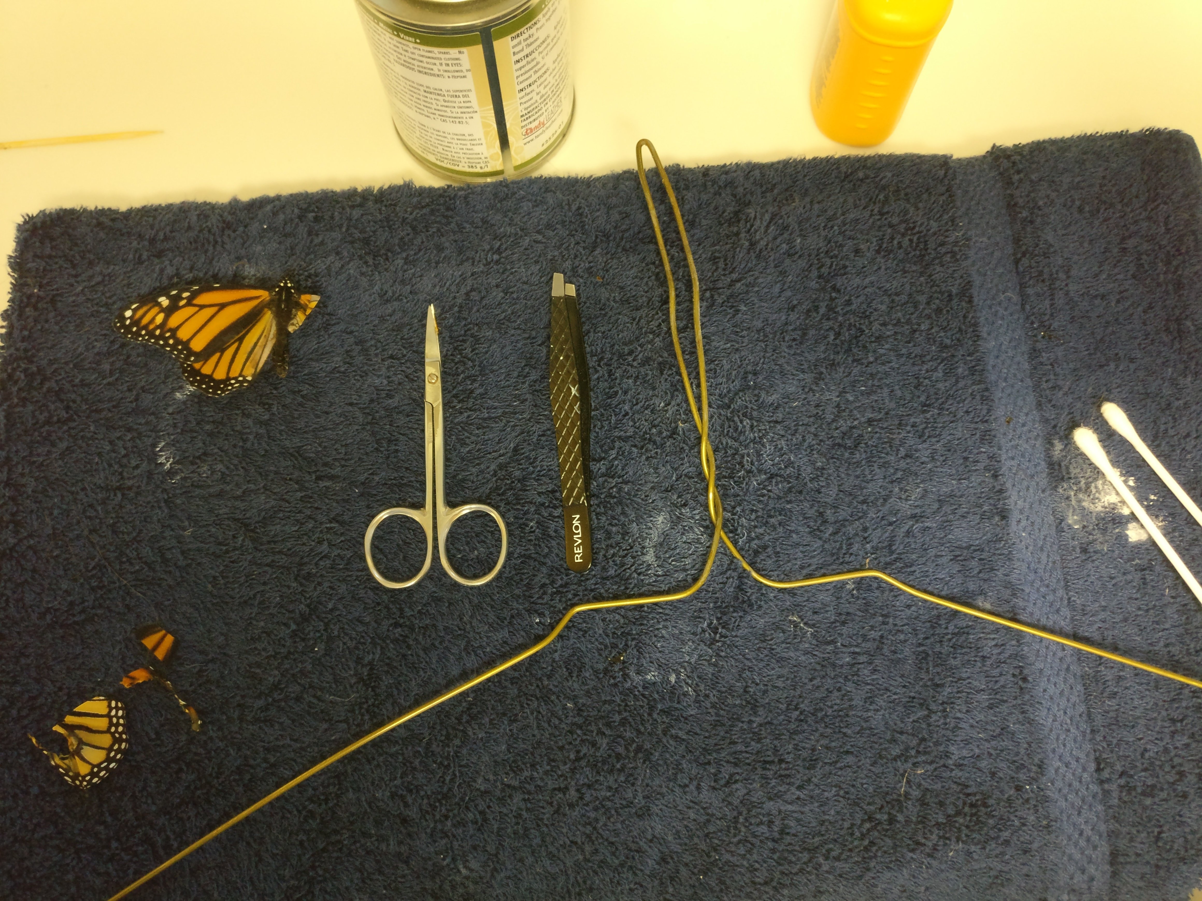 "The operating room and supplies: towel, wire hanger, contact cement, toothpick, cotton swab, scissors, tweezers, talc powder, extra butterfly wing. ( One of my little girls died a few days before and I kept her.)"