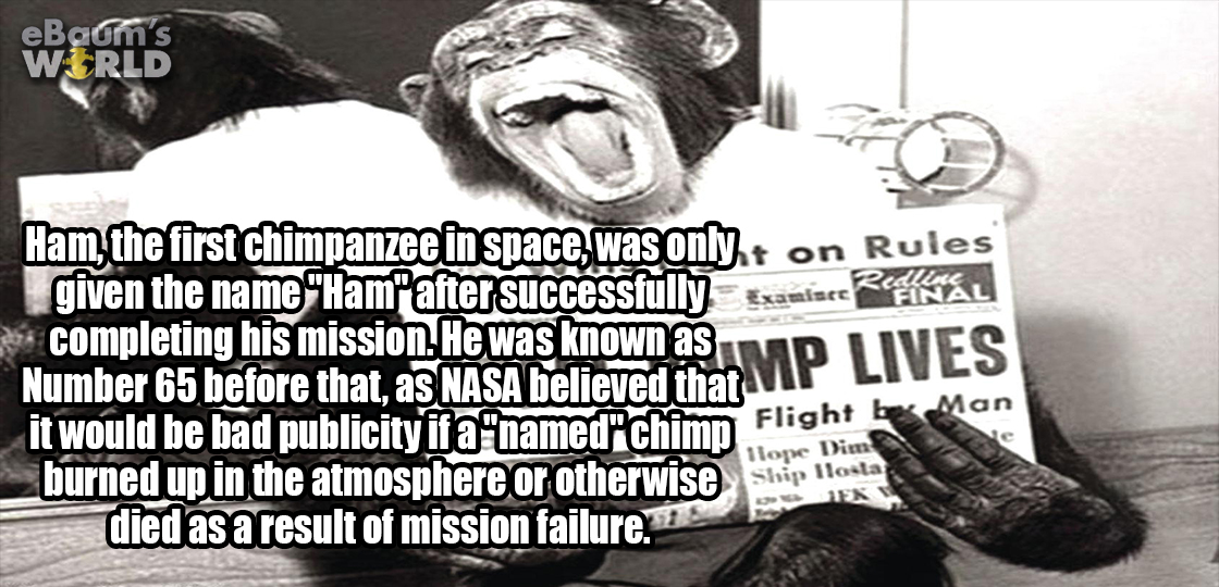 dbsk macros - eBoom's World Ham, the first chimpanzee in space, was only on Rules given the name "Ham" after successfully Examiner R Ml completing his mission. He was known as Number 65 before that, as Nasa believed that it would be bad publicity if a nam