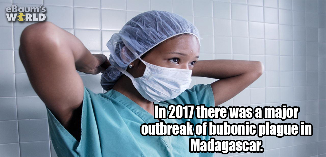 sorry it took so long - eBaum's Wtrld Bia In 2017 there was a major outbreak of bubonic plague in Madagascar