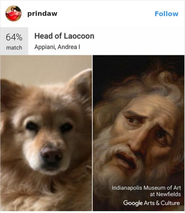 People Are Having A Blast With The New Google 'Arts & Culture' App