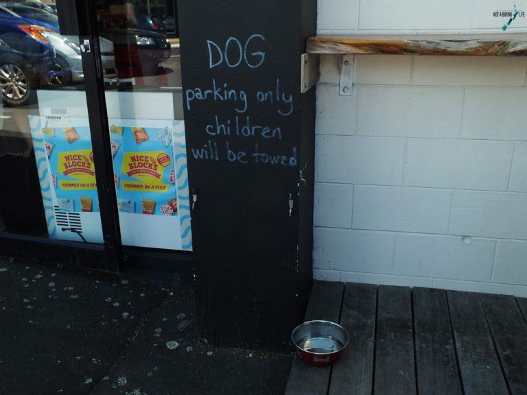 window - Dog parking only! a children I will be towed Blocks Bloch