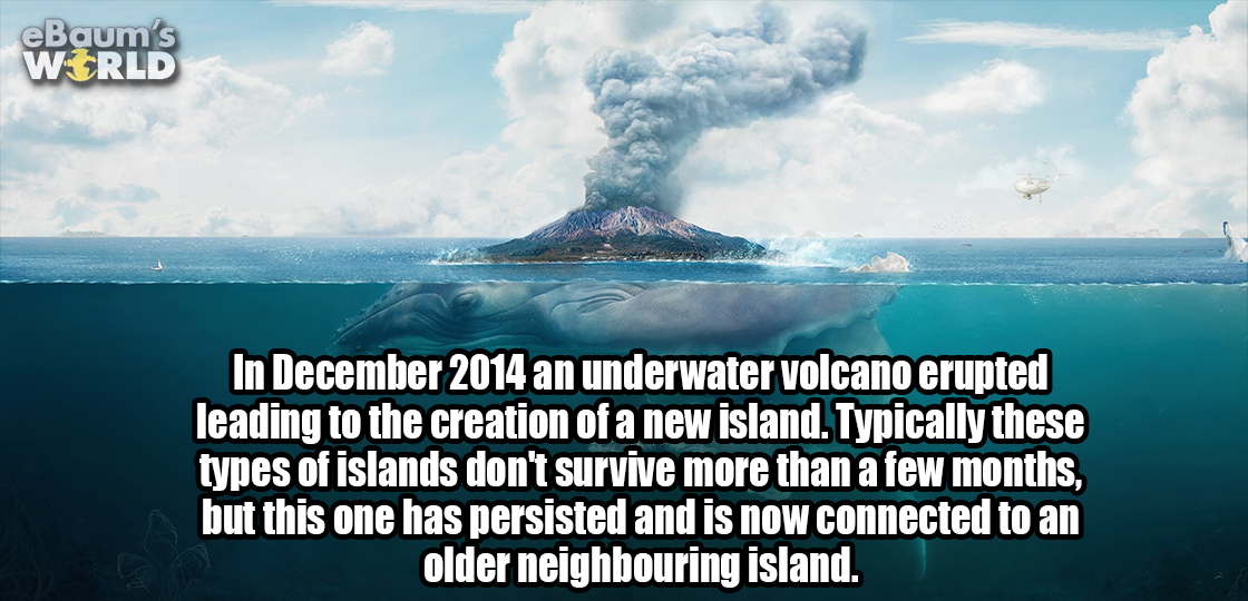 21 Fascinating Facts That Will Slaughter Your Ignorance