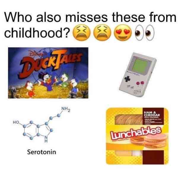 mdma serotonin memes - Who also misses these from childhood? Hama Cheddar . Lunchables Serotonin
