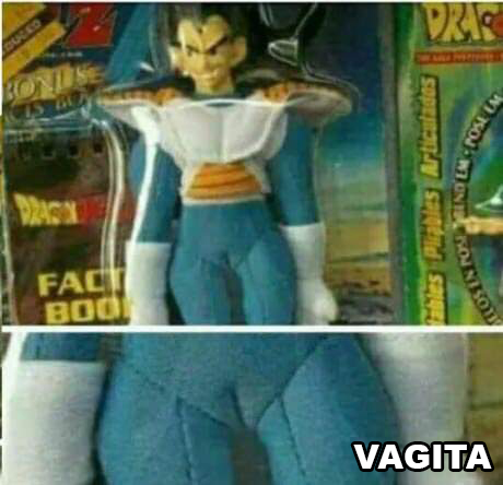 vegeta camel toe