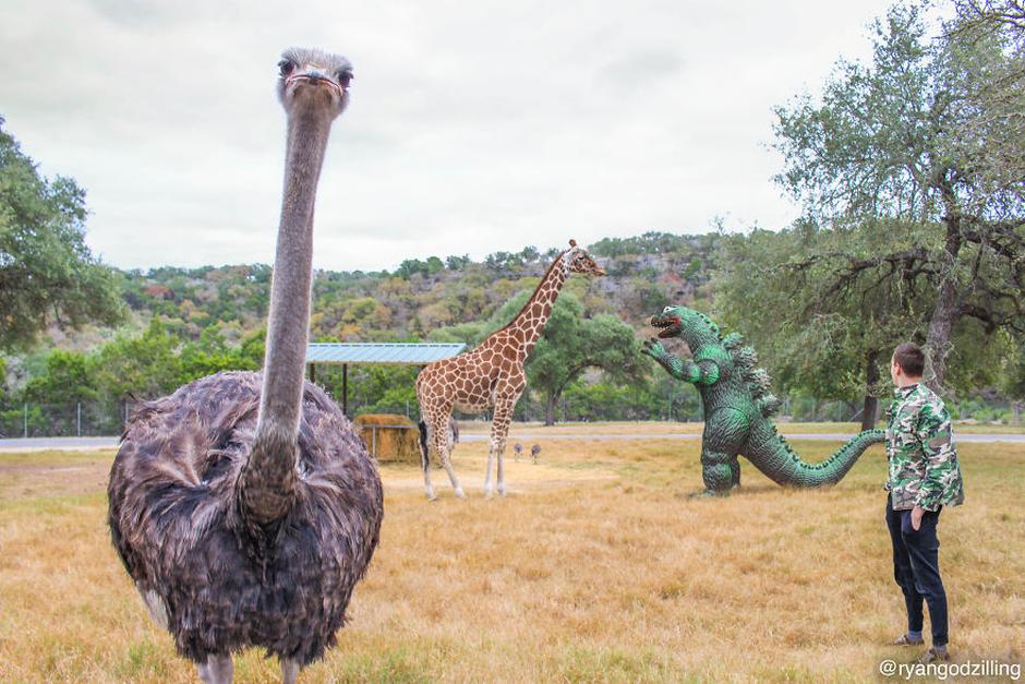 Guy's Life Improves Drastically After He Buys A Godzilla For 8 Bucks