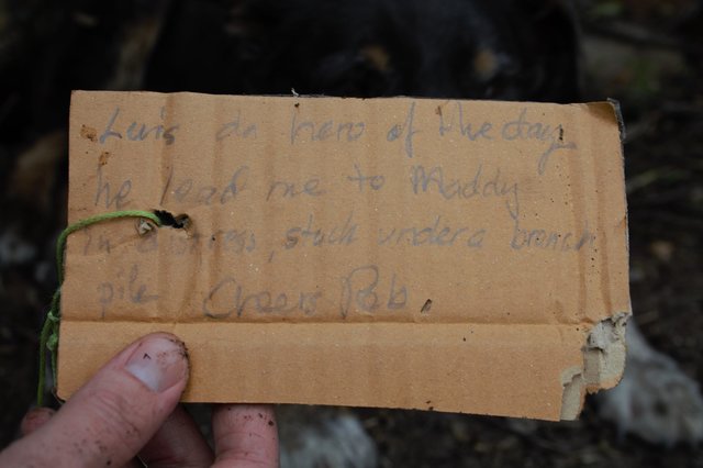 After an entire afternoon had passed with no sign of Louie, his family was relieved at first to see him ambling back toward the house — but then they noticed a note had been attached to his collar. Marolyn's first reaction was alarm. Was it a warning? Had Louie caused trouble, or crossed paths with the wrong person?

"He looked so exhausted, and had basically just collapsed," Marolyn says. "We were concerned someone might have hurt him. But after reading the note I felt complete and utter relief, then my heart melted."

That's when they learned what their dog had been up to:

"Louie is the hero of the day," the note read (corrected for spelling). "He led me to Maddy in distress stuck under a branch pile. Cheers, Rob."