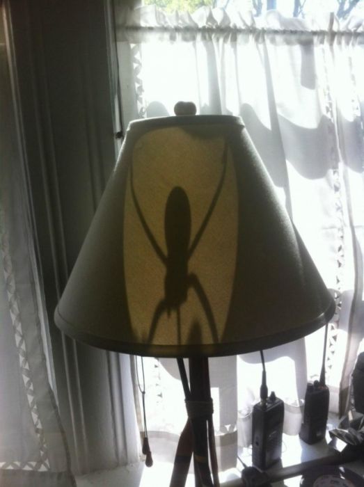 scary pic lampshade
