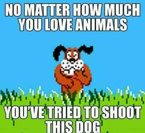 duck hunt dog - No Matter How Much You Love Animals 1 .U . You'Ve Tried To Shoot This Dog
