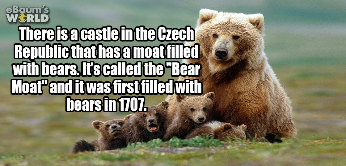 21 Fascinating Facts That Will Enlighten and Amuse You