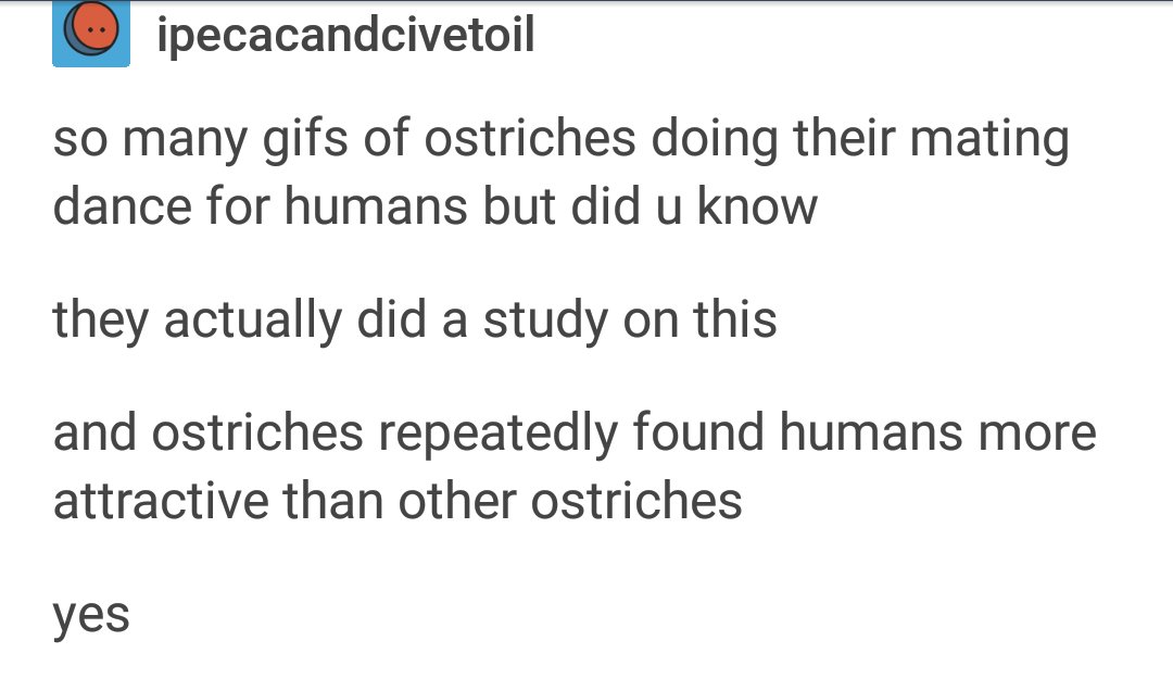 Ostriches Have A Very Strange And Very Real Sexual Desire For People