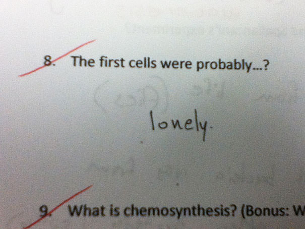 19 Quality Exam Fails That Will Leave You Speechless