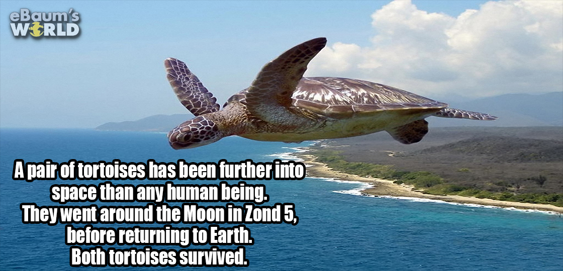 23 Utterly Fascinating Facts To Destroy Your Boredom 