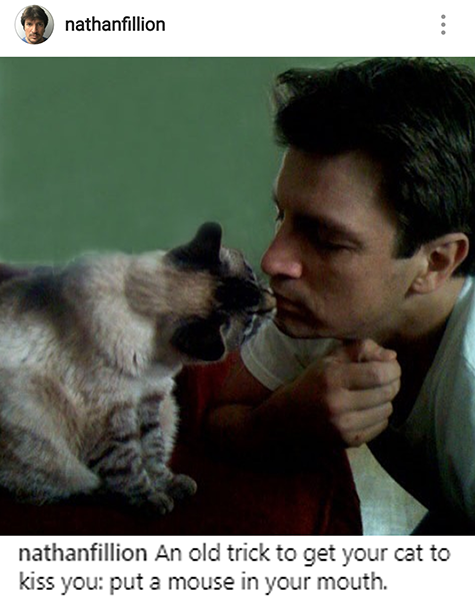 photo caption - nathanfillion nathanfillion An old trick to get your cat to kiss you put a mouse in your mouth.