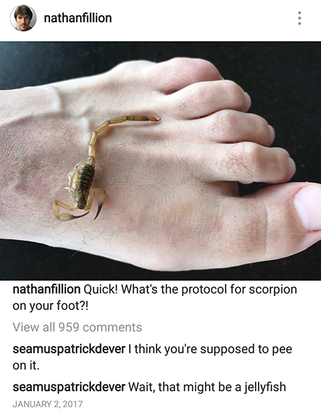 nathanfillion nathanfillion Quick! What's the protocol for scorpion on your foot?! View all 959 seamuspatrickdever I think you're supposed to pee on it. seamuspatrickdever Wait, that might be a jellyfish
