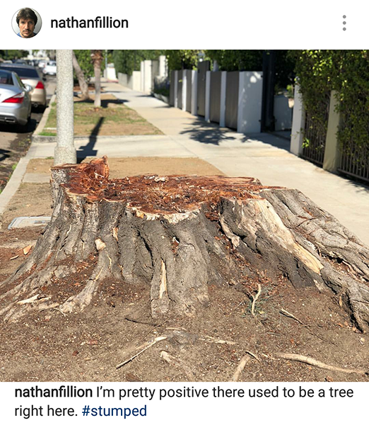 soil - nathanfillion nathanfillion I'm pretty positive there used to be a tree right here.