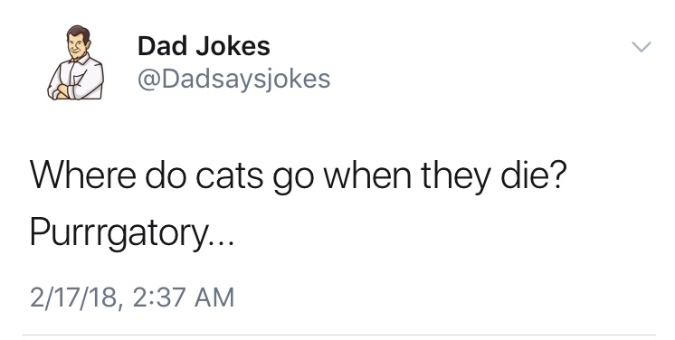 dad jokes-  Dad joke - A Dad Jokes Where do cats go when they die? Purrrgatory... 21718,
