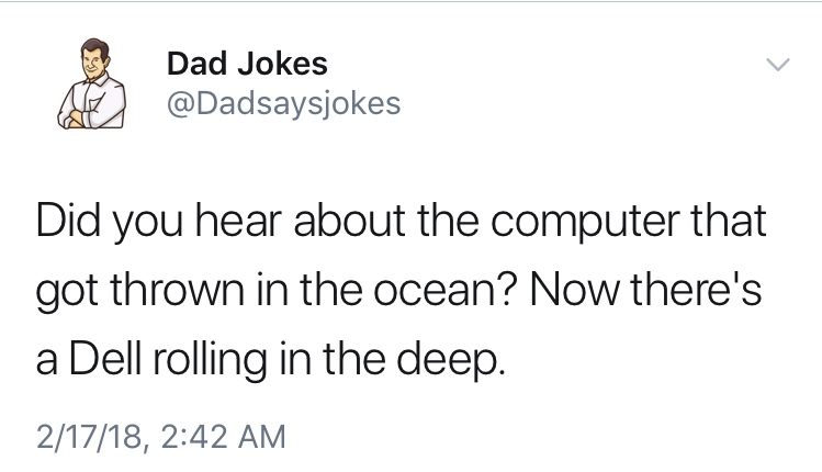 dad jokes-  racoon in trench coat - Dad Jokes Did you hear about the computer that got thrown in the ocean? Now there's a Dell rolling in the deep. 21718,