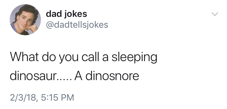 dad jokes-  human behavior - dad jokes What do you call a sleeping dinosaur..... A dinosnore 2318,