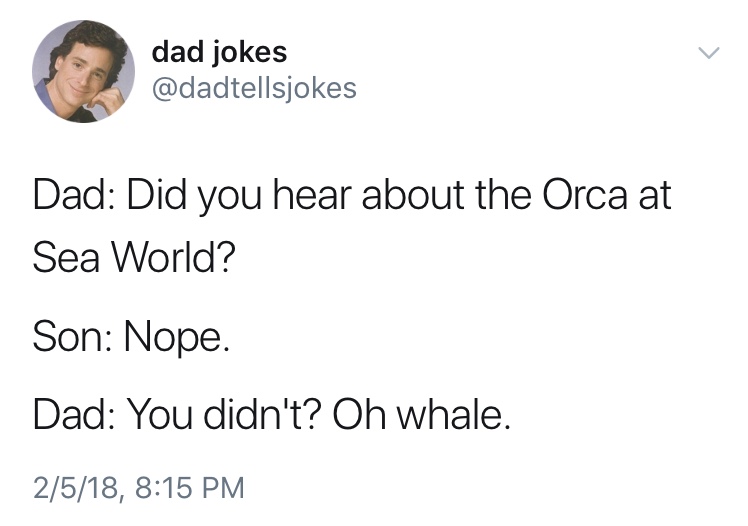 dad jokes-  angle - dad jokes Dad Did you hear about the Orca at Sea World? Son Nope. Dad You didn't? Oh whale. 2518,
