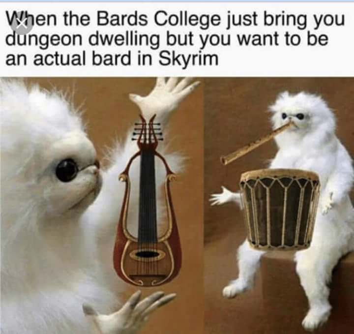 lets drink later meme - When the Bards College just bring you dungeon dwelling but you want to be an actual bard in Skyrim