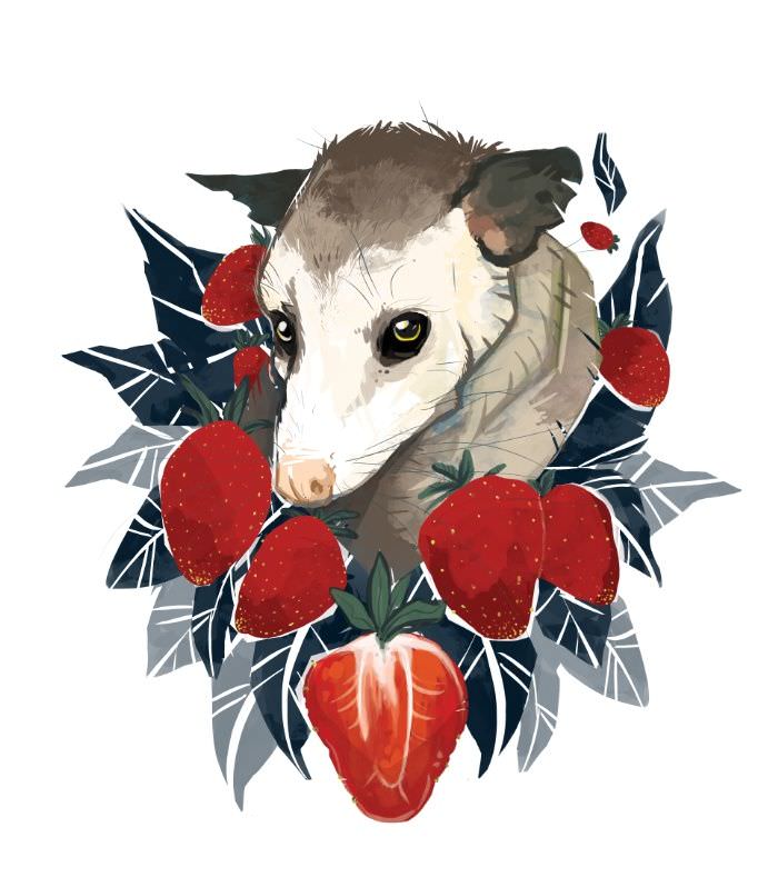 opossum tattoo cute